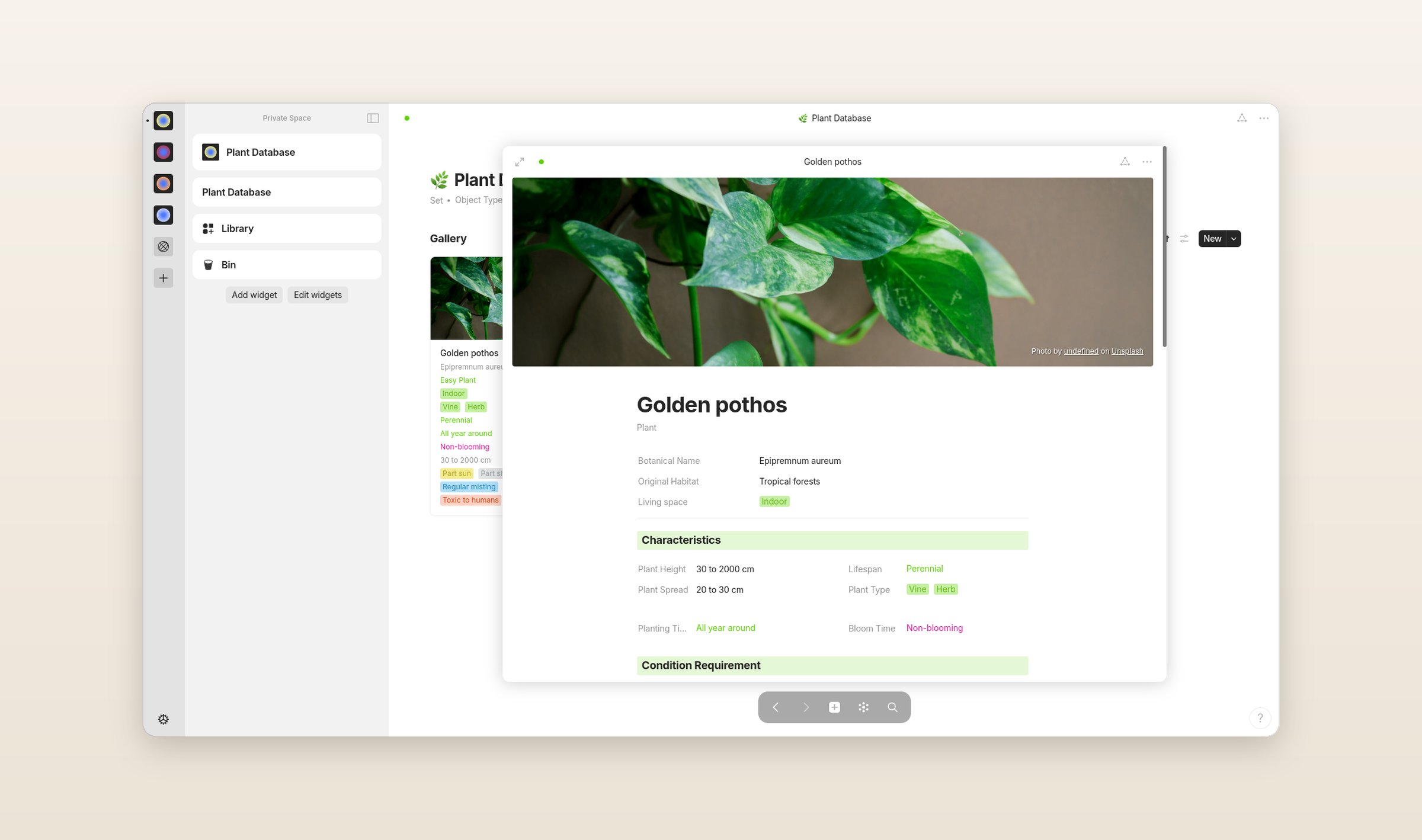 Anytype's desktop app with a plant database open and one plant's page, Golden pothos, open over it with its properties