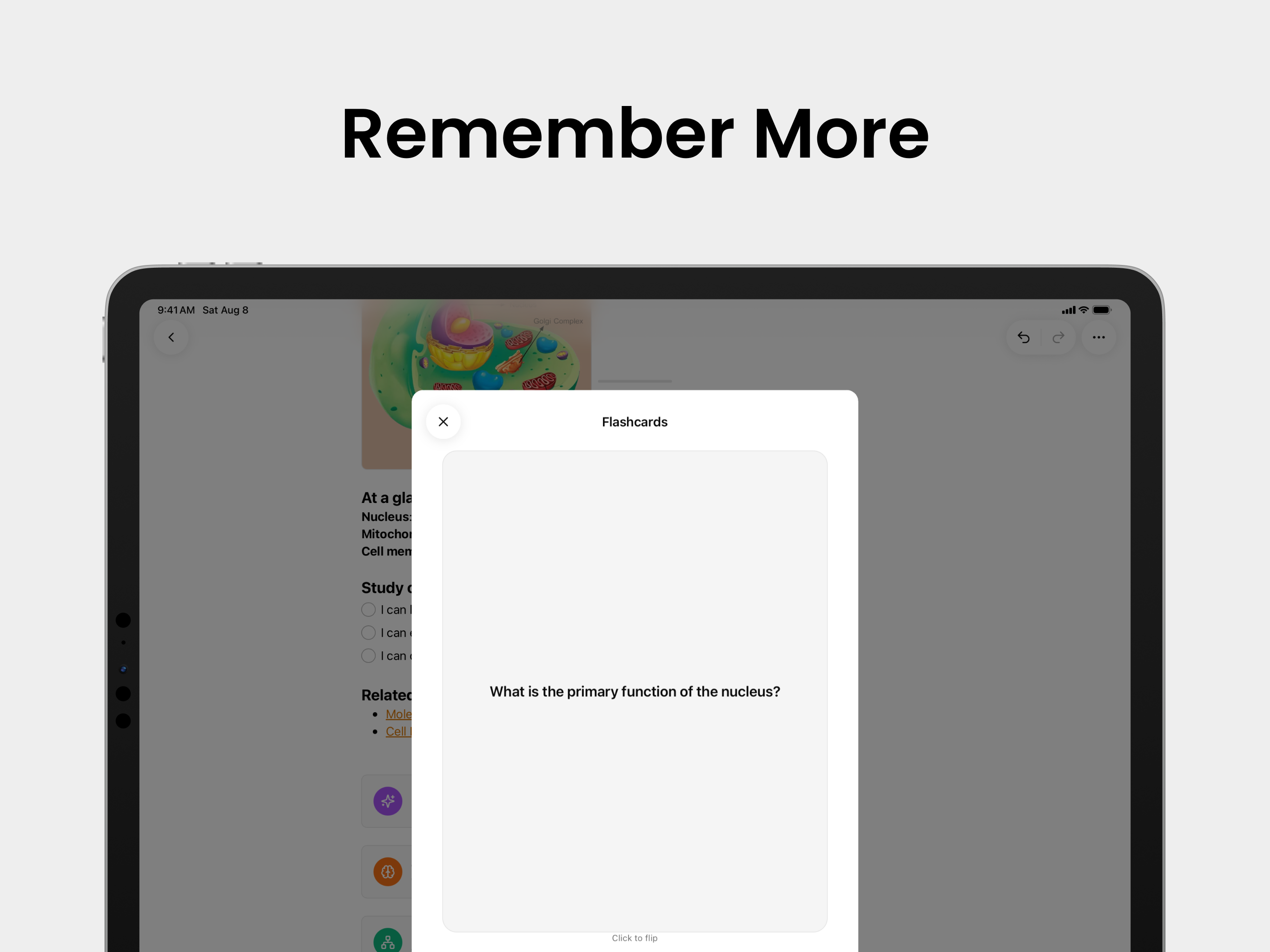 A flashcard generated from a biology note